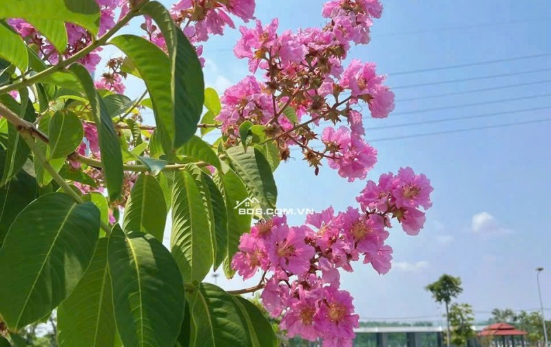 KHU ĐÔ THỊ BẮC SÀI GÒN – 1 TỶ SỞ HỮU NGAY ĐẤT ĐẸP BÌNH DƯƠNG