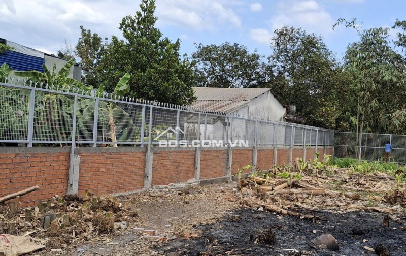 Cho thuê Đất Mặt Tiền:2.700m2 - 50tr/tháng - mặt sau đất rộng: 44m