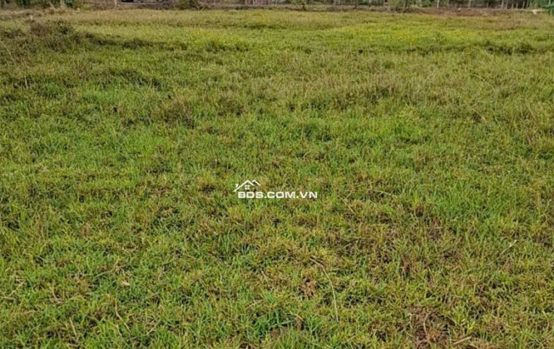 Bán đất nông nghiệp tại mặt tiền đường Điện Biên Phủ (R#12m) thuộc trung tâm thị trấn Lạc Tánh, Bình Thuận