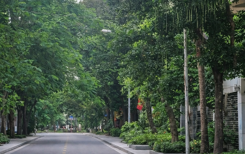 BIỆT THỰ ĐẲNG CẤP GIỮA RỪNG CÂY–TRUNG TÂM SÀI ĐỒNG LONG BIÊN–160M2–4 TẦNG–FULL NỘI THẤT