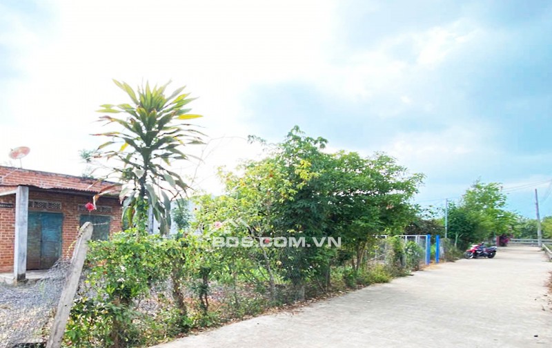 ĐẤT NỀN THỌ TÂN – P XUÂN LỘC – ĐN. GIÁ CHỈ 490Tr. 100% OĐT