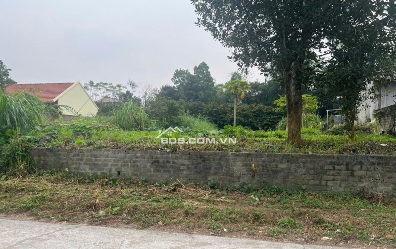 lô đất trung tâm sơn tây hà nội 215m2 giá nhỉnh 10tr.m2