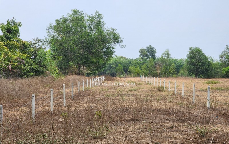 CẦN BÁN GẤP 565M2 ĐẤT NỀN, TRUNG TÂM THỊ TRẤN DẦU TIẾNG, BÌNH DƯƠNG, GẦN CHỢ GIÁ NHỈNH 1TR/M2.