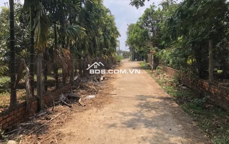 Hơn 1.000m đất có thổ cư tại Ea Kao, Buôn Ma Thuột, Đăk Lăk