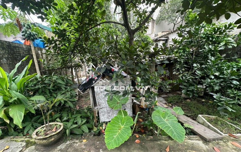 Chỉ #2,3 tỷ có ngay 1 lô tại Thôn Đoài, Việt Hùng, Đông Anh. 52m2