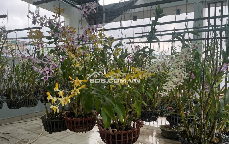 Bán nhà đúc 2,5 tấm hẻm 142 đường số 339 P. Phước Long B, Q9 cũ