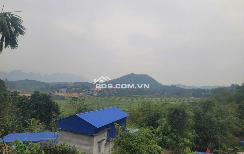 Chỉ hơn 3 tỷ sở hữu ngay lô đất 5800m tại Kim Bôi.Hoà Bình