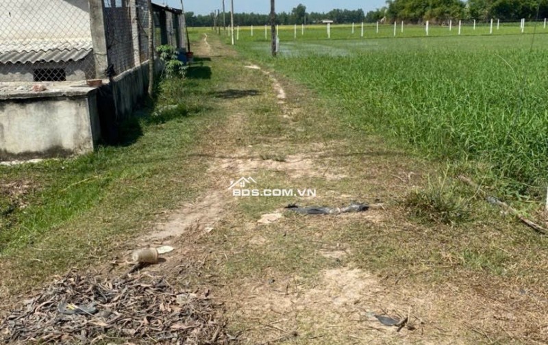 Bán 1000 M2 Đất tiện làm nhà vườn sát HCM