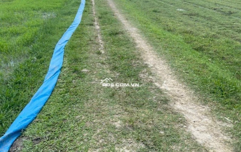 Bán 1000 M2 Đất tiện làm nhà vườn sát HCM