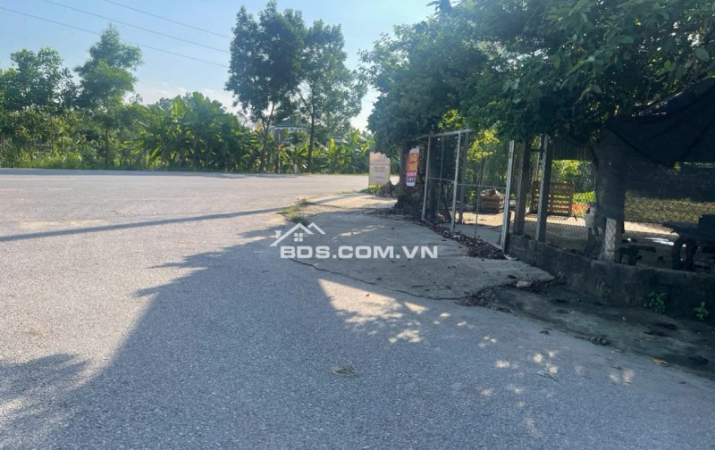 Bán Đất khu công nghiệp Tam Dương, Vĩnh Phúc 105m, 1 tỷ100, xây nhà trọ, nhà ở.