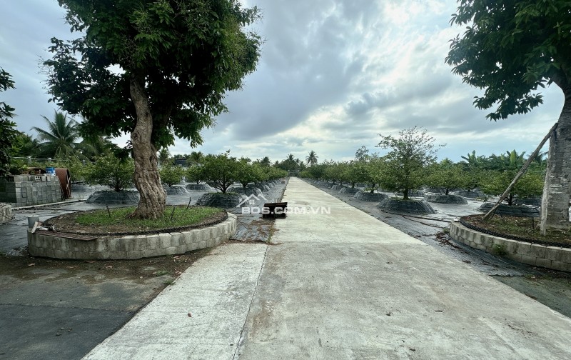 Bán nhà mới xây tặng toàn bộ cây cảnh 8000m2 mặt tiền tại Hữu Định,Châu Thành
