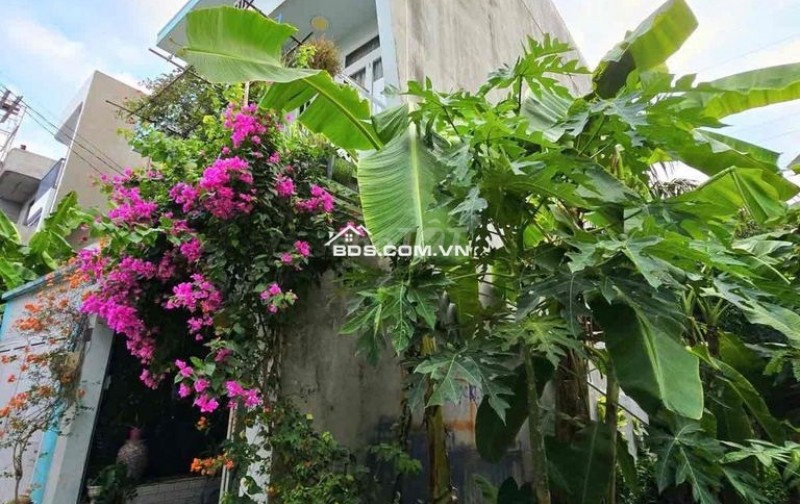 Chính chủ cần bán nhà hẻm xe hơi 5m  đường Lò Lu nhà gồm 1 trệt + 2 lầu + sân thượng