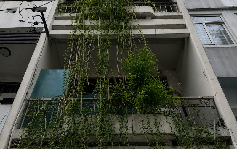 HXH - PHẠM NGỌC THẠCH - Q3 – 3×14M NỞ HẬU – 4 TẦNG – CHỈ 17 TỶ TL