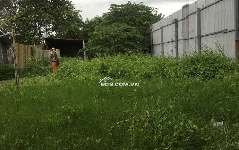 ĐẤT ĐẸP – GIÁ ĐẦU TƯ – CHÍNH CHỦ CẦN BÁN LÔ ĐẤT Đường số 2, KP.4, P.Tân Tạo A, Q. Bình Tân, TP. HCM