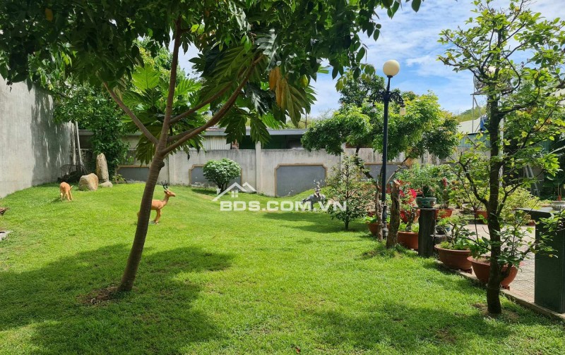 Giảm 10 tỷ , Biệt Thự 1700m2 , Mặt Tiền Kinh Doanh, Thủ Dầu Một - TP HCM