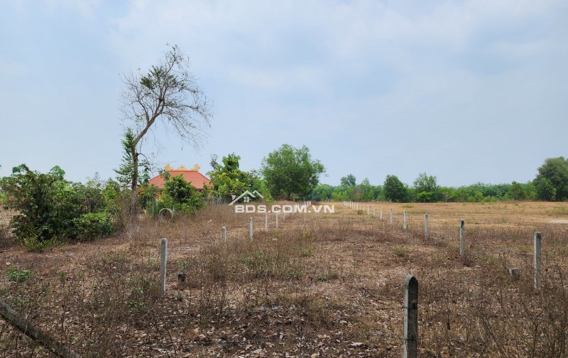 CẦN BÁN GẤP 565M2 ĐẤT NỀN, TRUNG TÂM THỊ TRẤN DẦU TIẾNG, BÌNH DƯƠNG, GẦN CHỢ GIÁ NHỈNH 1TR/M2.