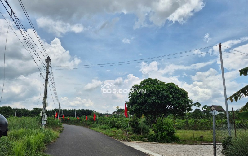Ngộp!!! Bán Đất Đường Nhựa 7m 250M2 100M2TC Ngay THCS AN LINH