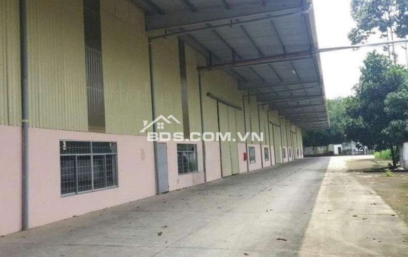 Cho thuê kho nhà xưởng DT 1000m2 bên Dương Kinh, PCCC tự động tiêu chuẩn, làm được FDI
