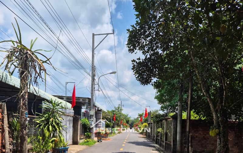 343m2 Nhựa An Linh Ngay Chợ An Linh Gía Full 600tr Ngay Khu Dân Cư