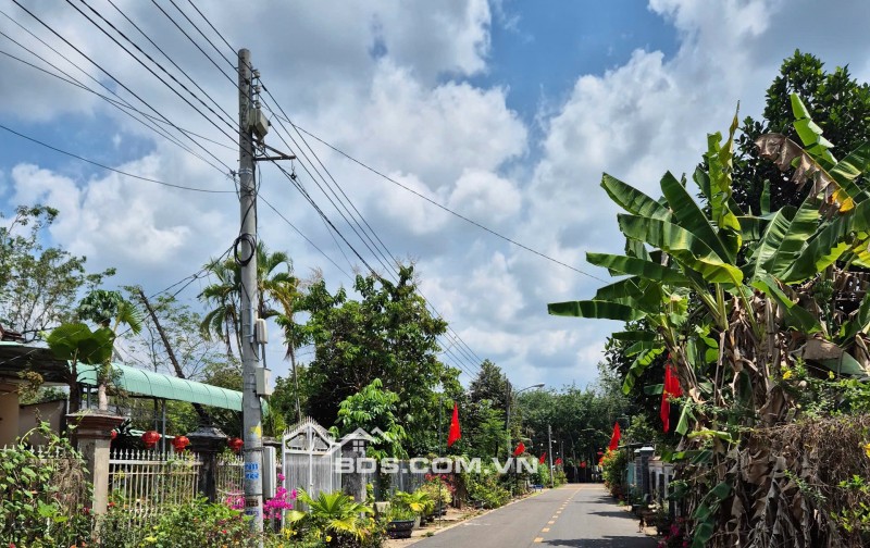 343m2 Nhựa An Linh Ngay Chợ An Linh Gía Full 600tr Ngay Khu Dân Cư
