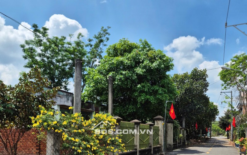 343m2 Nhựa An Linh Ngay Chợ An Linh Gía Full 600tr Ngay Khu Dân Cư