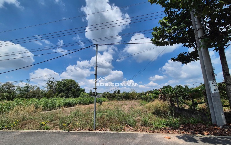 343m2 Nhựa An Linh Ngay Chợ An Linh Gía Full 600tr Ngay Khu Dân Cư