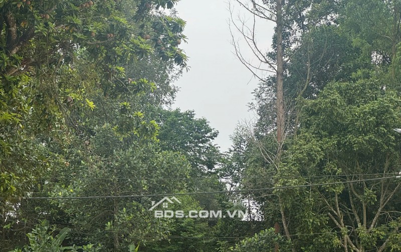 HÀNG F0 XUÂN KHANH – SƠN TÂY  FULL THỔ CƯ CHỈ HƠN 1,2 TỶ