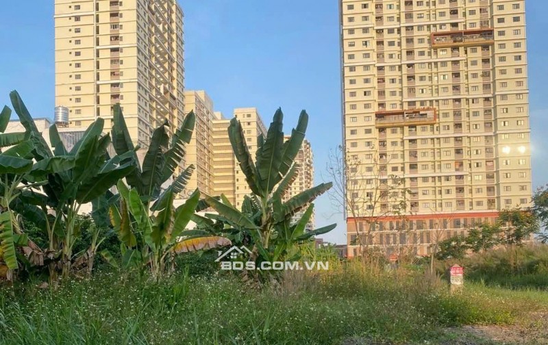  THUẬN AN CƯ – NGANG 7M – ĐẤT ĐẸP KDC TÂN MỸ
 -  Q7 – ĐƯỜNG D9 – 7x18 – NH.ỈNH 12 T.Ỷ
