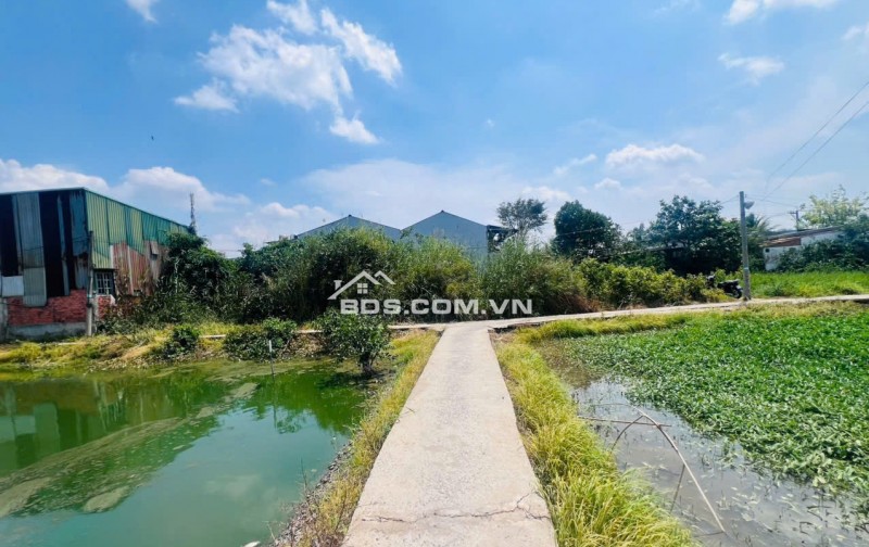 CHỦ ĐẤT CẦN BÁN  GẤP 2 MIẾNG ĐẤT BÌNH CHÁNH ẤP 3 TÂN QÚI TÂY. LH:0909304773.