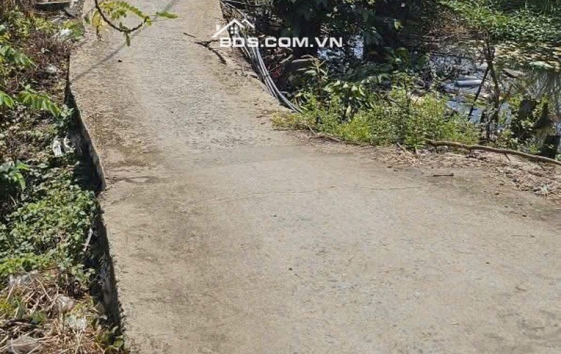 CHỦ ĐẤT CẦN BÁN  GẤP 2 MIẾNG ĐẤT BÌNH CHÁNH ẤP 3 TÂN QÚI TÂY. LH:0909304773.
