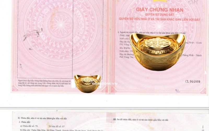 0941699926 LÔ GÓC 3 MẶT TIỀN ĐƯỜNG NHÀ VƯỜN NGHỈ DƯỠNG CÓ DÒNG TIỀN TỪ NÔNG TRẠI