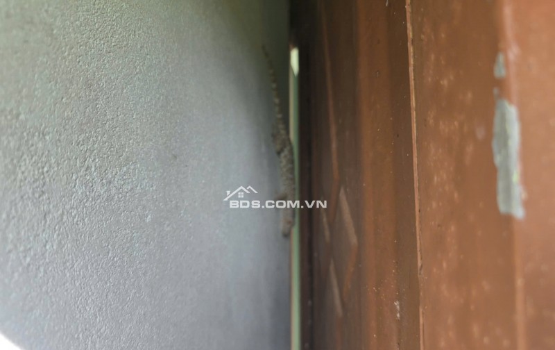 0941699926 LÔ GÓC 3 MẶT TIỀN ĐƯỜNG NHÀ VƯỜN NGHỈ DƯỠNG CÓ DÒNG TIỀN TỪ NÔNG TRẠI