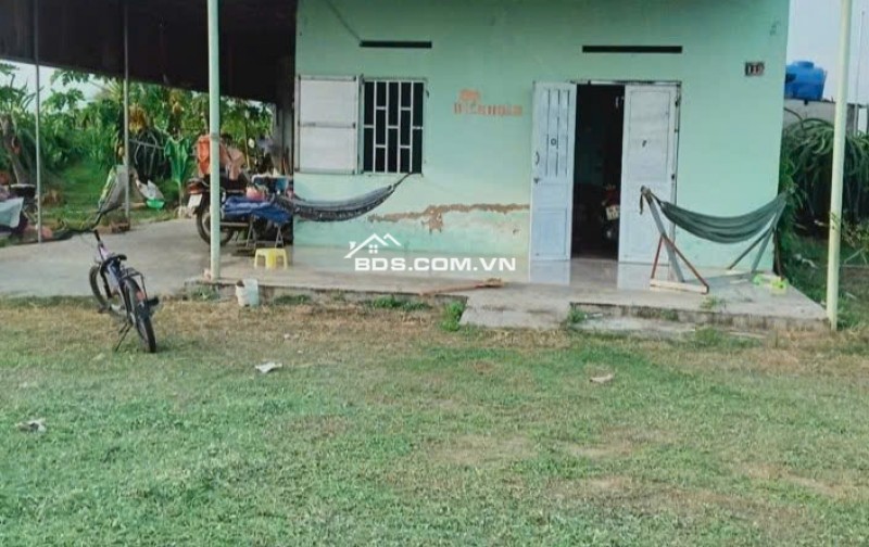 0941699926 LÔ GÓC 3 MẶT TIỀN ĐƯỜNG NHÀ VƯỜN NGHỈ DƯỠNG CÓ DÒNG TIỀN TỪ NÔNG TRẠI