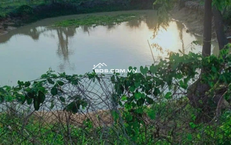 0941699926 LÔ GÓC 3 MẶT TIỀN ĐƯỜNG NHÀ VƯỜN NGHỈ DƯỠNG CÓ DÒNG TIỀN TỪ NÔNG TRẠI