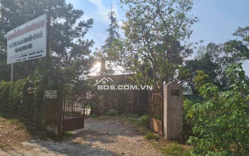 BIỆT THỰ PHÁP CỔ TTTP ĐÀ LẠT 1800M2 PHÁP LÝ RÕ RÀNG 75 TỶ. LH:0909267003.