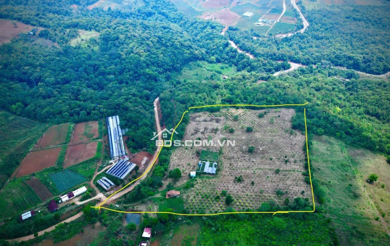 ANH CHỊ SẼ TRẢ GIÁ BAO NHIÊU ĐỂ ĐỔI LẤY 5ha ĐẤT VÀNG NÀY?