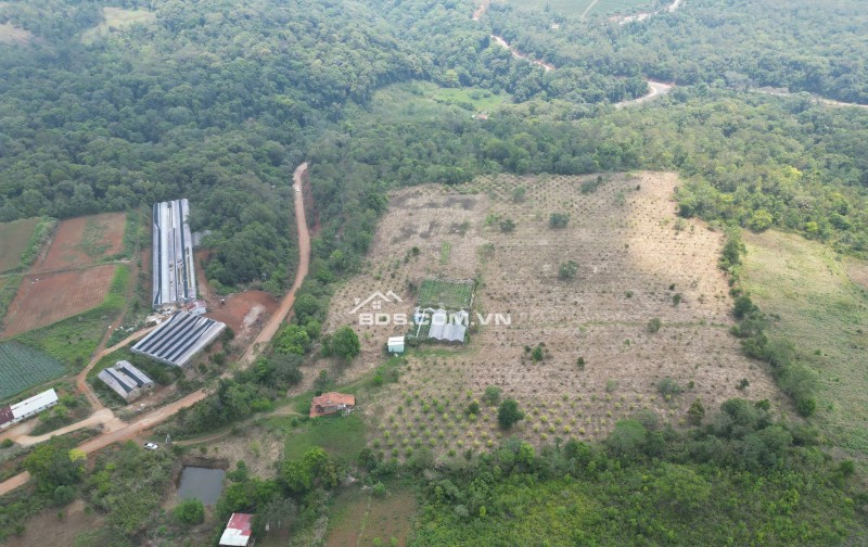 ANH CHỊ SẼ TRẢ GIÁ BAO NHIÊU ĐỂ ĐỔI LẤY 5ha ĐẤT VÀNG NÀY?