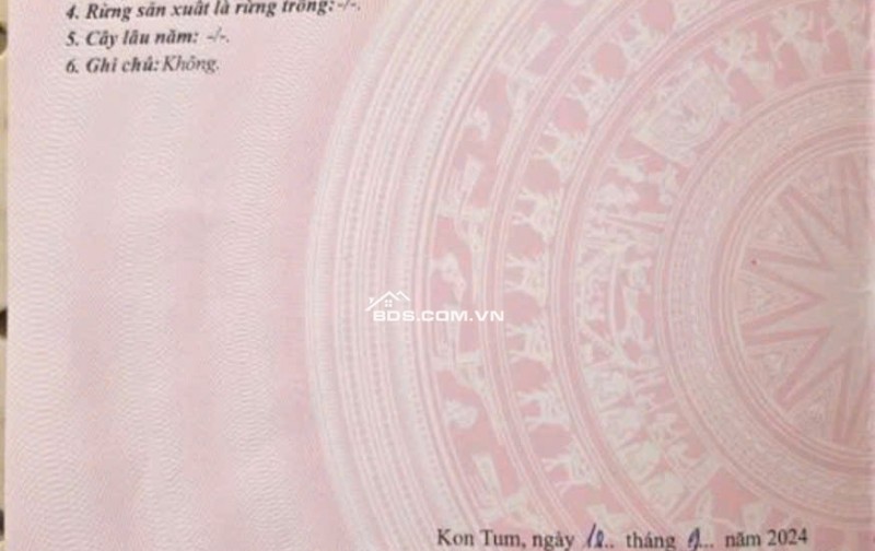 CHỐT NHANH LÔ ĐẤT ĐÔ THỊ DUY NHẤT TRÊN ĐƯỜNG NGUYỄN BỈNH KHIÊM!