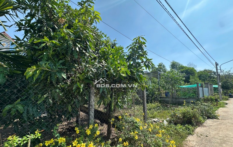 Bán đất 200m² có sẵn 100m² thổ cư ngang 5m giá 750 triệu tại Đường 30/4 Xã An Long