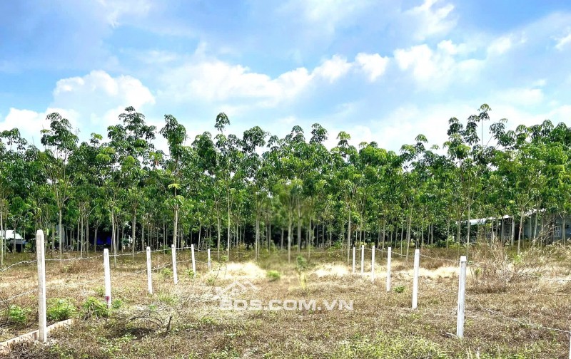 ĐẤT TP.HCM 848m2 - 820tr Sẵn 100m2TC Ngay KCN 1000HA, Ngay Chợ An Linh