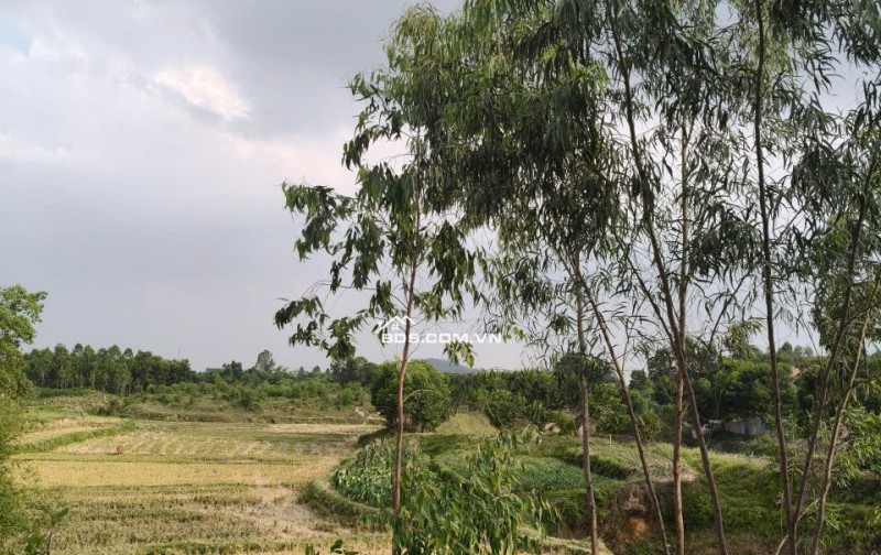 Bán đất Sóc Sơn, 100m full đất ở, 3 mặt thoáng, view cánh đồng