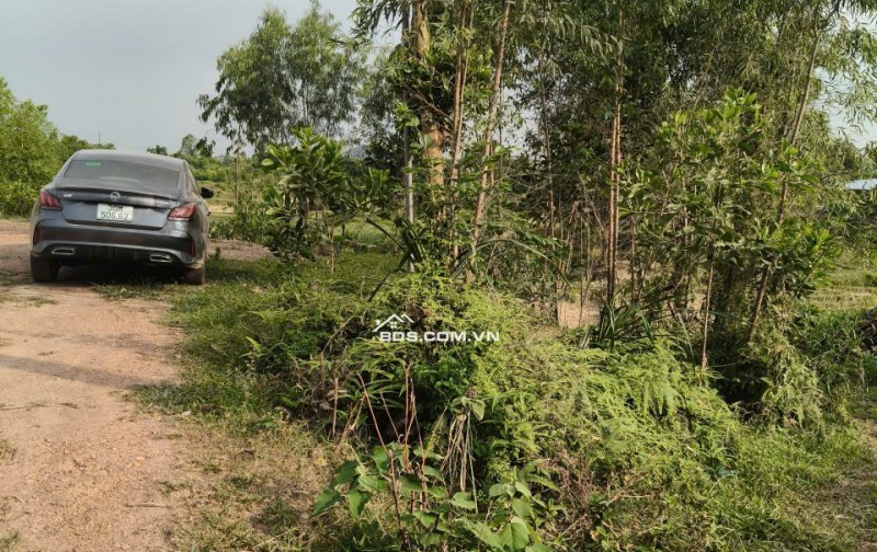Bán đất Sóc Sơn, 100m full đất ở, 3 mặt thoáng, view cánh đồng