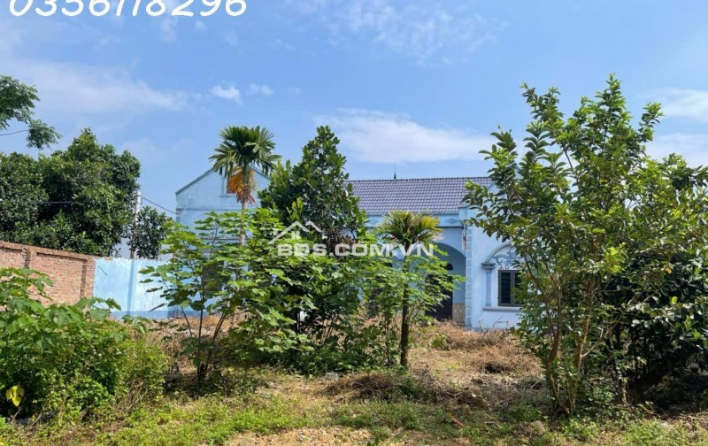 Bán 730,8m2 Nam Lý, Bắc Sơn, Sóc Sơn, Hà Nội nhỉnh 5 tỷ