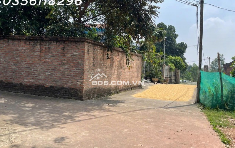Bán 730,8m2 Nam Lý, Bắc Sơn, Sóc Sơn, Hà Nội nhỉnh 5 tỷ