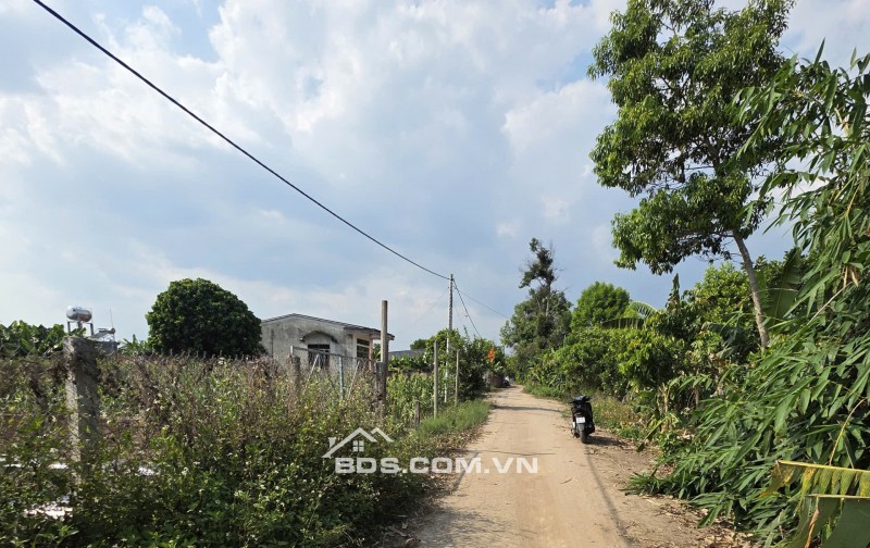 Đất vàng Đăk Mar, Kon Tum - Cơ hội đầu tư sinh lời không tưởng! 