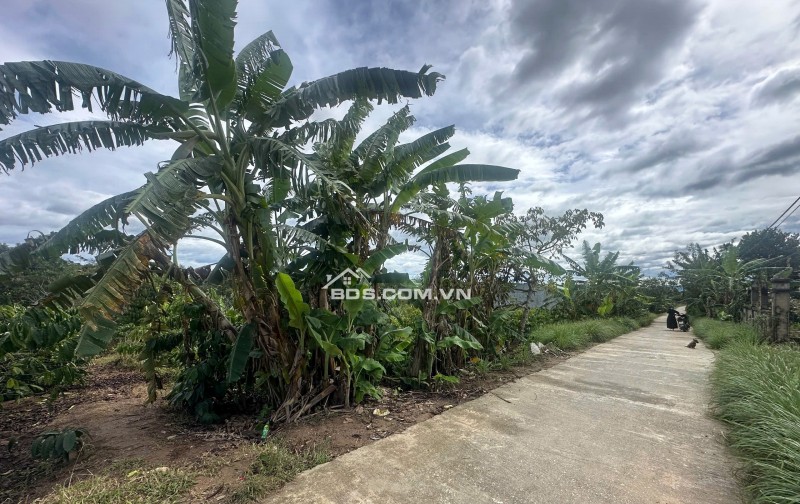 KHAN HIẾM! 400M² THỔ CƯ MẶT TIỀN 20M  ĐĂK MAR