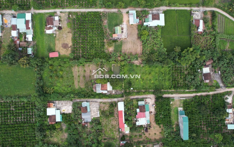 Đất vàng Đăk Mar, Kon Tum - Cơ hội đầu tư sinh lời không tưởng! 