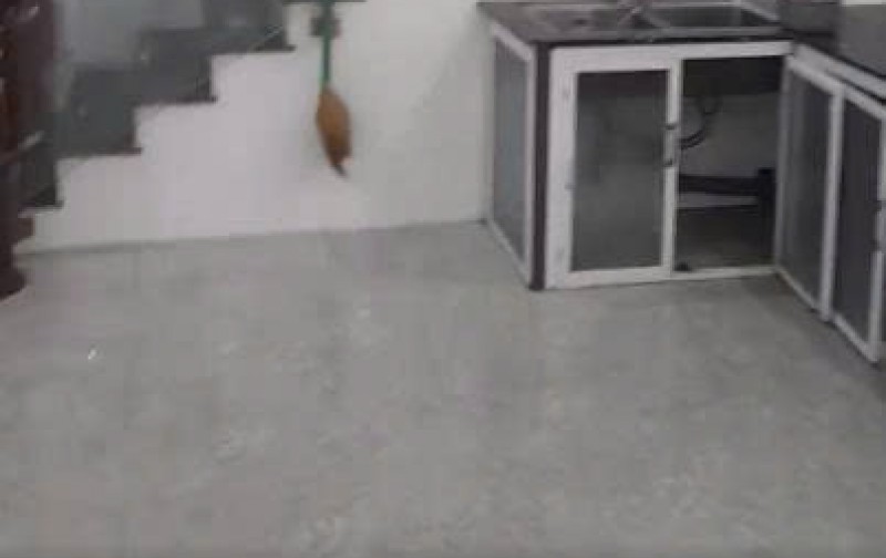 Cho thuê nhà mặt tiền Trần Anh Tông phường 8 Đà Lạt 14 triệu/tháng