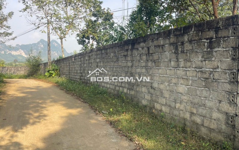 Đất Cao Phong Giá SỐC Chỉ Dưới 1 Triệu/m² Sở Hữu 6000m² View Cánh Đồng cách QL6 chưa đến 1km