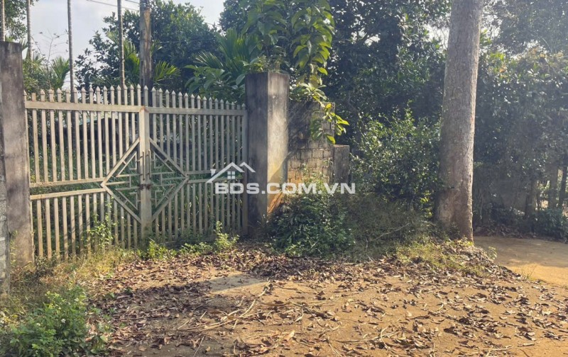 Đất Cao Phong Giá SỐC Chỉ Dưới 1 Triệu/m² Sở Hữu 6000m² View Cánh Đồng cách QL6 chưa đến 1km